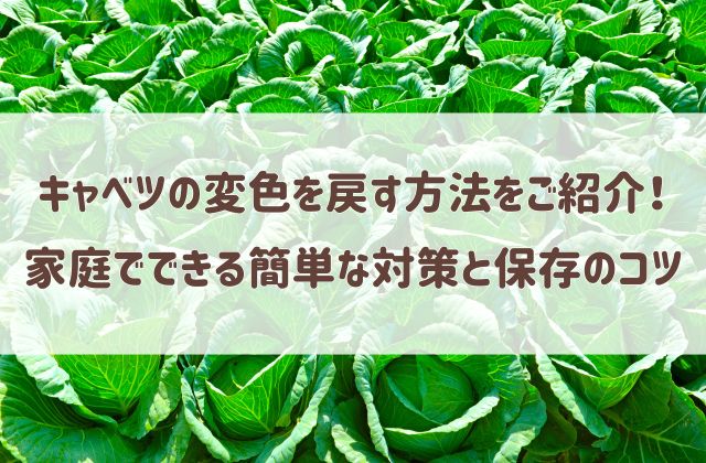 キャベツの変色を戻す方法をご紹介！ 家庭でできる簡単な対策と保存のコツ